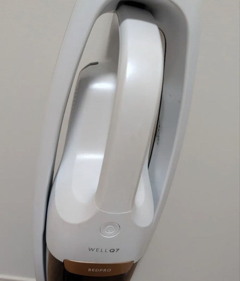 エレクロトラックス コードレスクリーナー Well Q7