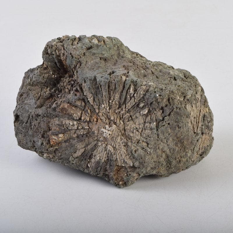 天然石　鑑賞石　菊花石　置物　重さ約1929g　C　8881