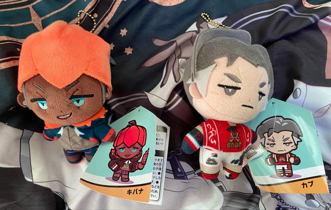 ソード　シールド ポケモントレーナーズマスコット　カブ キバナ