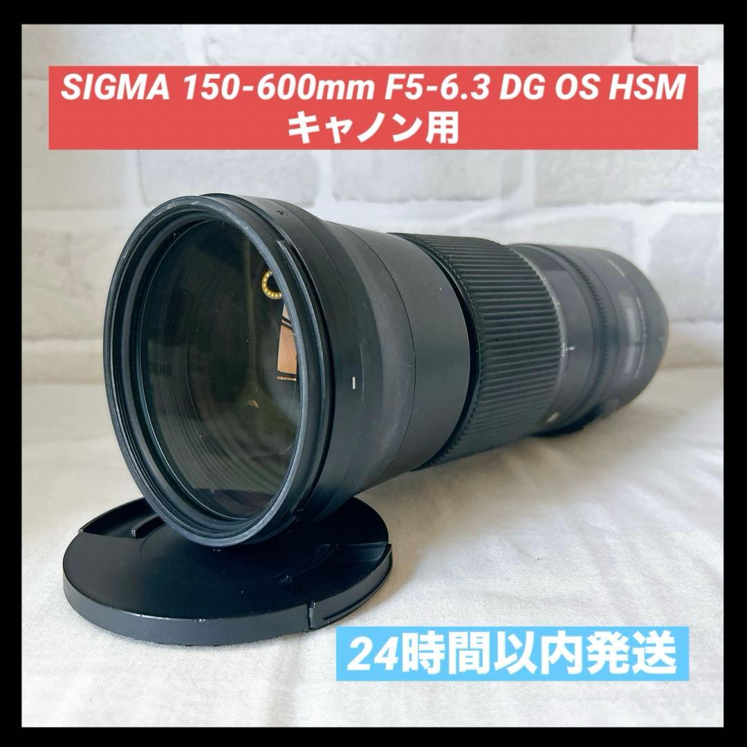 komrkko ✨SIGMA 150-600mm F5-6.3 DG✨