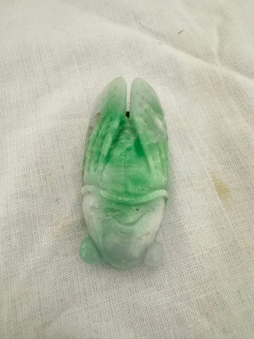 翡翠トップ 蝉