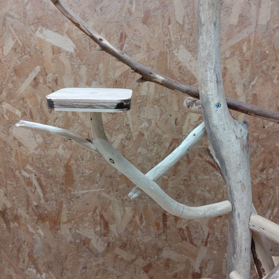 しょうた枠バードアスレチックジム大型(62) 鳥インコ止まり木、流木、