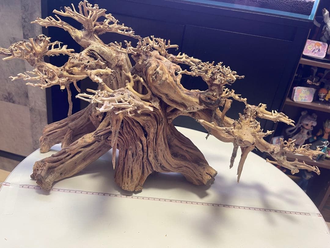 盆栽流木