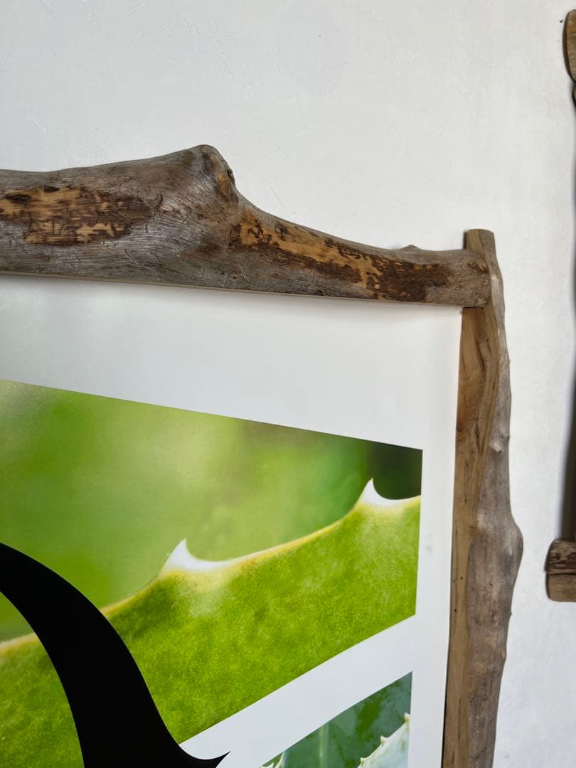 流木風額縁2セット★マングローブ風　額縁　アート