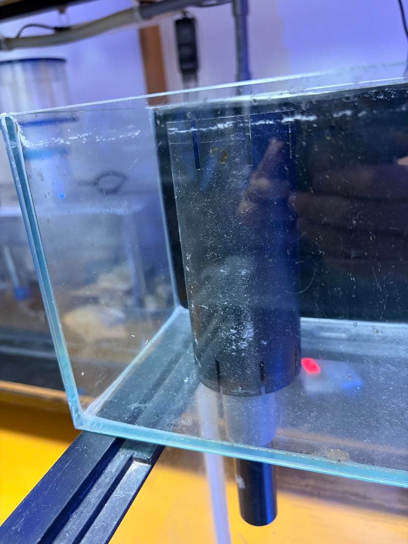 直接引き取り6045ガラス水槽 リフジウム水槽 その他おまけ付き
