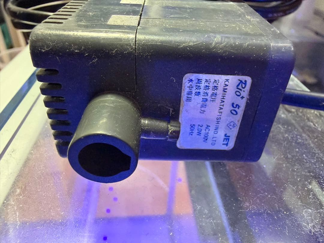 直接引き取り6045ガラス水槽 リフジウム水槽 その他おまけ付き