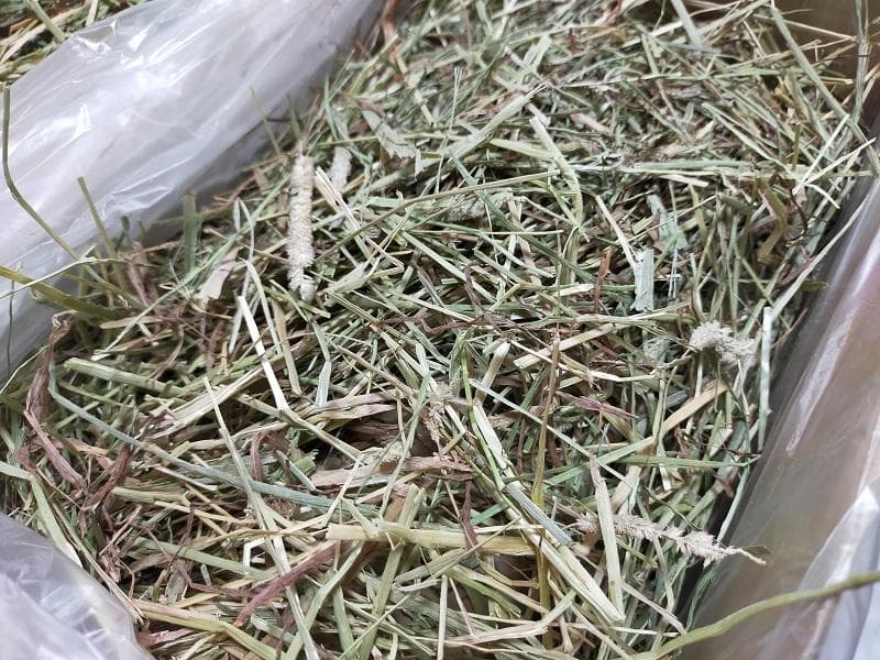 US産 チモシー 40kg ２番刈 ソフトスーパープレミアム