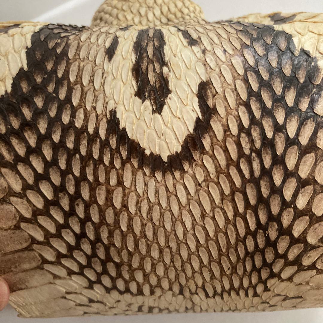 蛇の皮