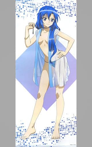 戦姫絶唱シンフォギアXV 風鳴翼 等身大タペストリー