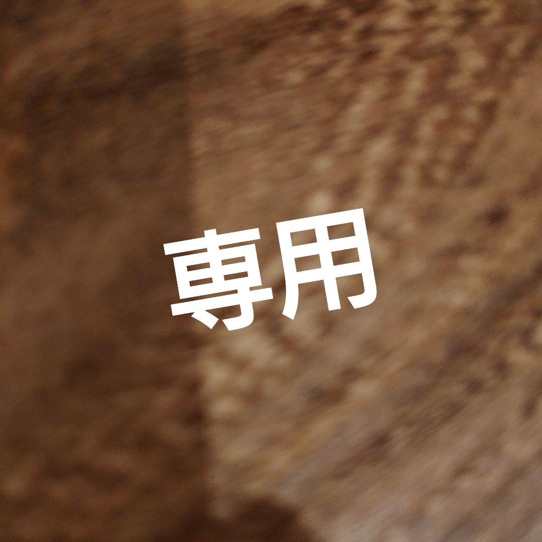 チェキ風 専用